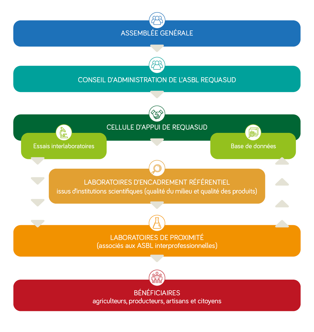 Organigramme Requasud