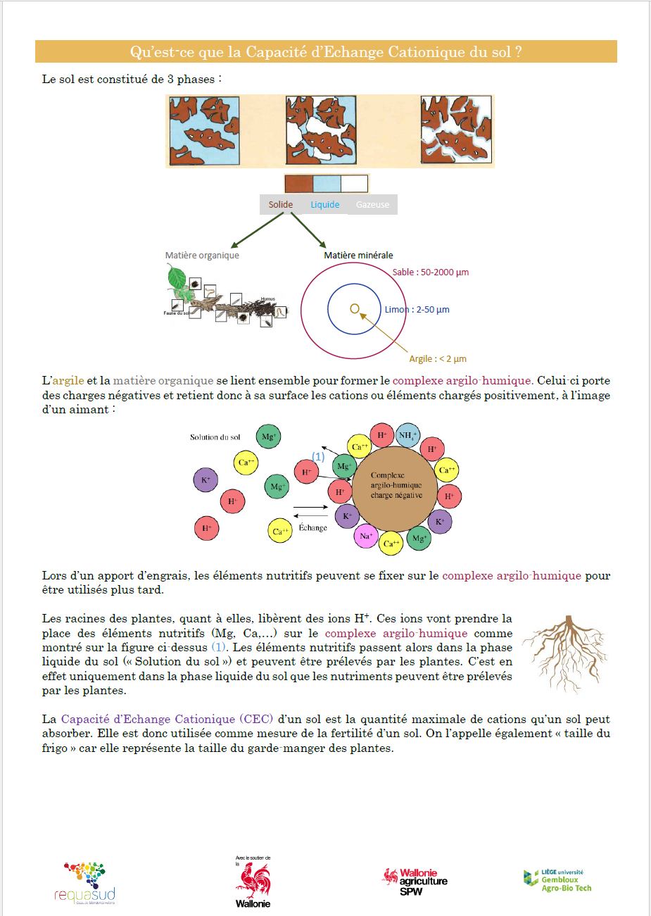 Capacité d’Echange Cationique du sol (CEC)